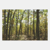 Appalachen-Pfad im Oktober in Shenandoah Geschenkpapier Set (Vorderseite)