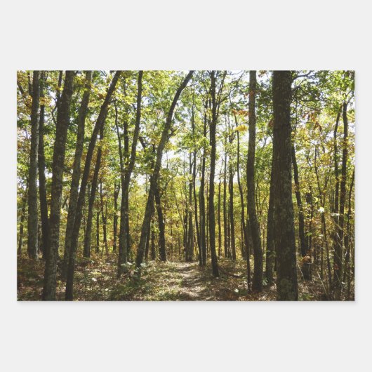 Appalachen-Pfad im Oktober in Shenandoah Geschenkpapier Set (Vorderseite)