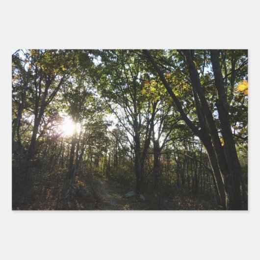 Appalachen-Pfad im Oktober in Shenandoah Geschenkpapier Set (Vorderseite 3)