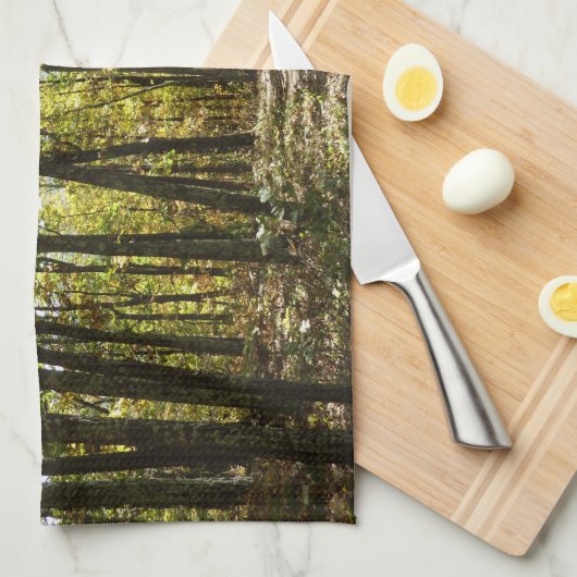 Appalachen-Pfad im Oktober in Shenandoah Geschirrtuch (Viertel Falte)