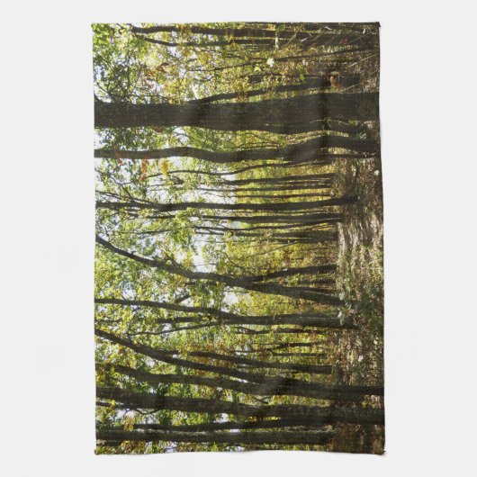 Appalachen-Pfad im Oktober in Shenandoah Geschirrtuch (Vertikal)