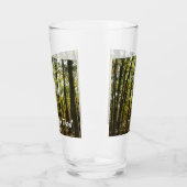 Appalachen-Pfad im Oktober in Shenandoah Glas (Links)