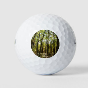 Appalachen-Pfad im Oktober in Shenandoah Golfball