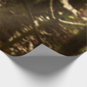 Appalachen-Pfad im Oktober in Shenandoah Holzposter (Ecke)