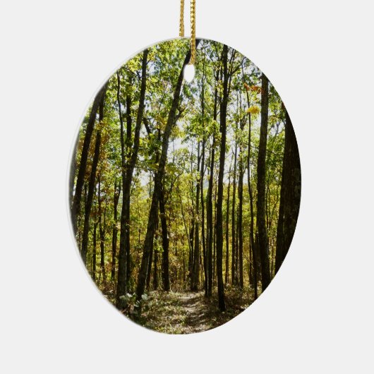 Appalachen-Pfad im Oktober in Shenandoah Keramikornament (Rechts)