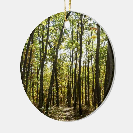 Appalachen-Pfad im Oktober in Shenandoah Keramikornament (Links)