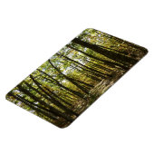 Appalachen-Pfad im Oktober in Shenandoah Magnet (Linke Seite)