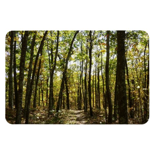 Appalachen-Pfad im Oktober in Shenandoah Magnet (Horizontal)