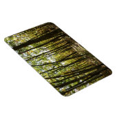 Appalachen-Pfad im Oktober in Shenandoah Magnet (Rechte Seite)