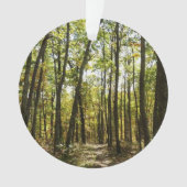 Appalachen-Pfad im Oktober in Shenandoah Ornament (Vorderseite)