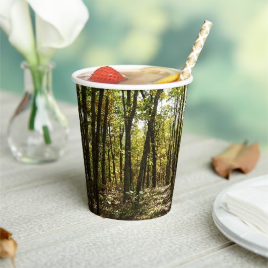 Appalachen-Pfad im Oktober in Shenandoah Pappbecher (In Situ)