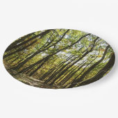 Appalachen-Pfad im Oktober in Shenandoah Pappteller (Schrägansicht)