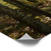 Appalachen-Pfad im Oktober in Shenandoah Poster (Ecke)