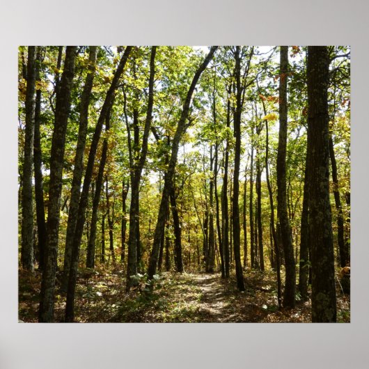 Appalachen-Pfad im Oktober in Shenandoah Poster (Vorne)