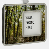 Appalachen-Pfad im Oktober in Shenandoah Rahmen-Ornament Silber (Rechts)