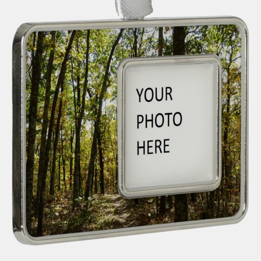 Appalachen-Pfad im Oktober in Shenandoah Rahmen-Ornament Silber (Rechts)