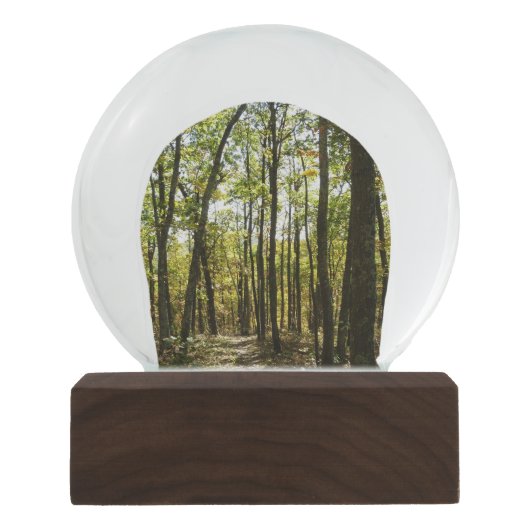 Appalachen-Pfad im Oktober in Shenandoah Schneekugel (Vorderseite)