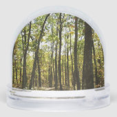 Appalachen-Pfad im Oktober in Shenandoah Schneekugeln (Rückseite)