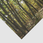 Appalachen-Pfad im Oktober in Shenandoah Seidenpapier (Ausschnitt)