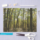 Appalachen-Pfad im Oktober in Shenandoah Seidenpapier (Handwerk)