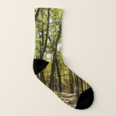 Appalachen-Pfad im Oktober in Shenandoah Socken (Links - Innen)