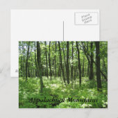 Appalachen Postkarte (Vorne/Hinten)