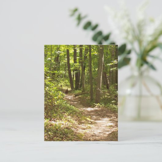 Appalachen Postkarte (Stehend Vorderseite)