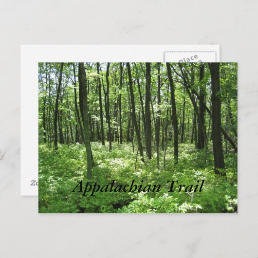 Appalachen-Postkarte Postkarte (Vorne/Hinten)