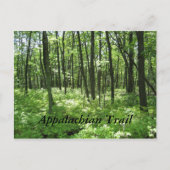 Appalachen-Postkarte Postkarte (Vorderseite)