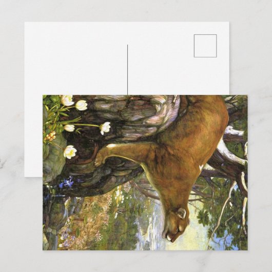 Appalachian Animals Postkarte (Vorne/Hinten)