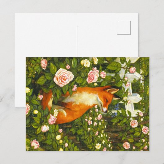 Appalachian Animals Postkarte (Vorne/Hinten)