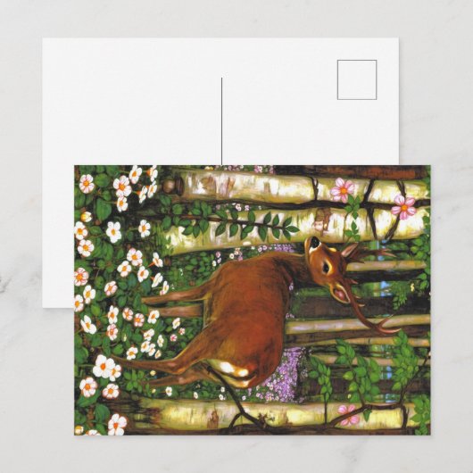 Appalachian Animals Postkarte (Vorne/Hinten)