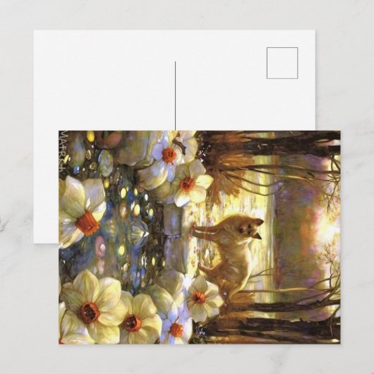 Appalachian Animals Postkarte (Vorne/Hinten)