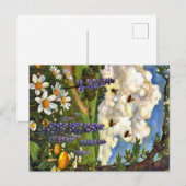 Appalachian Animals  Postkarte (Vorne/Hinten)