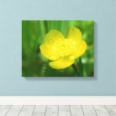 Appalachian Buttercup Canvas Print Leinwanddruck (Insitu (Holzboden))