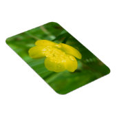 Appalachian Buttercup Flexible Magnet (Rechte Seite)