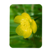 Appalachian Buttercup Flexible Magnet (Vertikal)