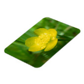 Appalachian Buttercup Flexible Magnet (Linke Seite)