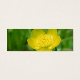 Appalachian Buttercup Lesezeichen