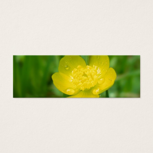 Appalachian Buttercup Lesezeichen (Vorderseite)