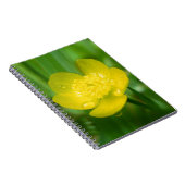 Appalachian Buttercup Notebook Notizblock (Rechte Seite)
