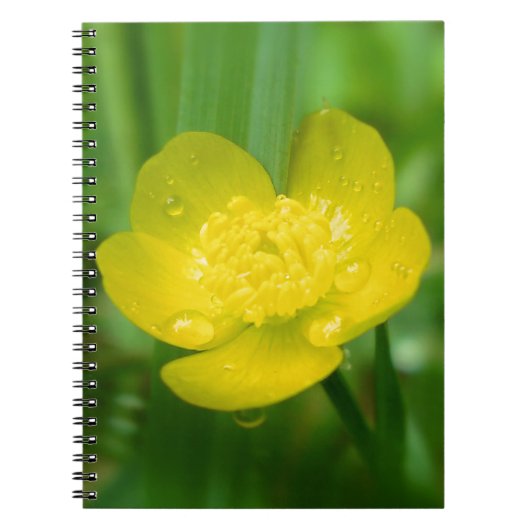 Appalachian Buttercup Notebook Notizblock (Vorderseite)