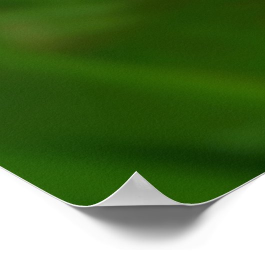 Appalachian Buttercup Print Poster (Ecke)