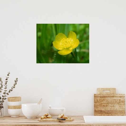 Appalachian Buttercup Print Poster (Küche)