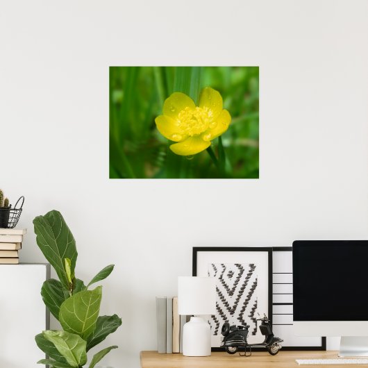 Appalachian Buttercup Print Poster (Heimbüro)