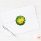 Appalachian Buttercup Stickers (Umschlag)