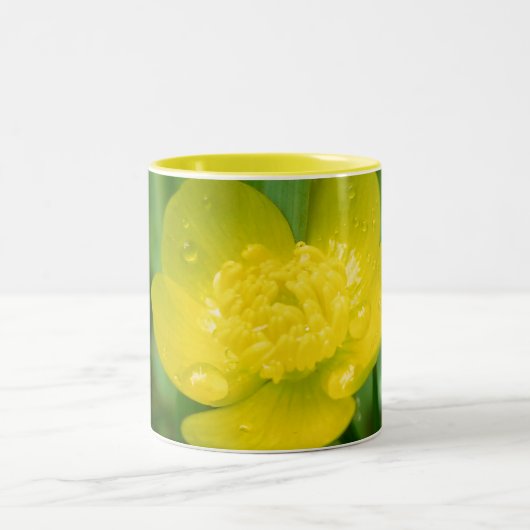 Appalachian Buttercup-Tasse Zweifarbige Tasse (Mittel)