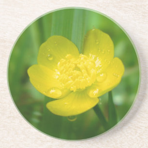 Appalachian Buttercup Untersetzer