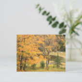 Appalachian Gap Pond Vermont Postkarte (Stehend Vorderseite)
