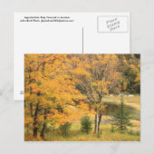 Appalachian Gap Pond Vermont Postkarte (Vorne/Hinten)